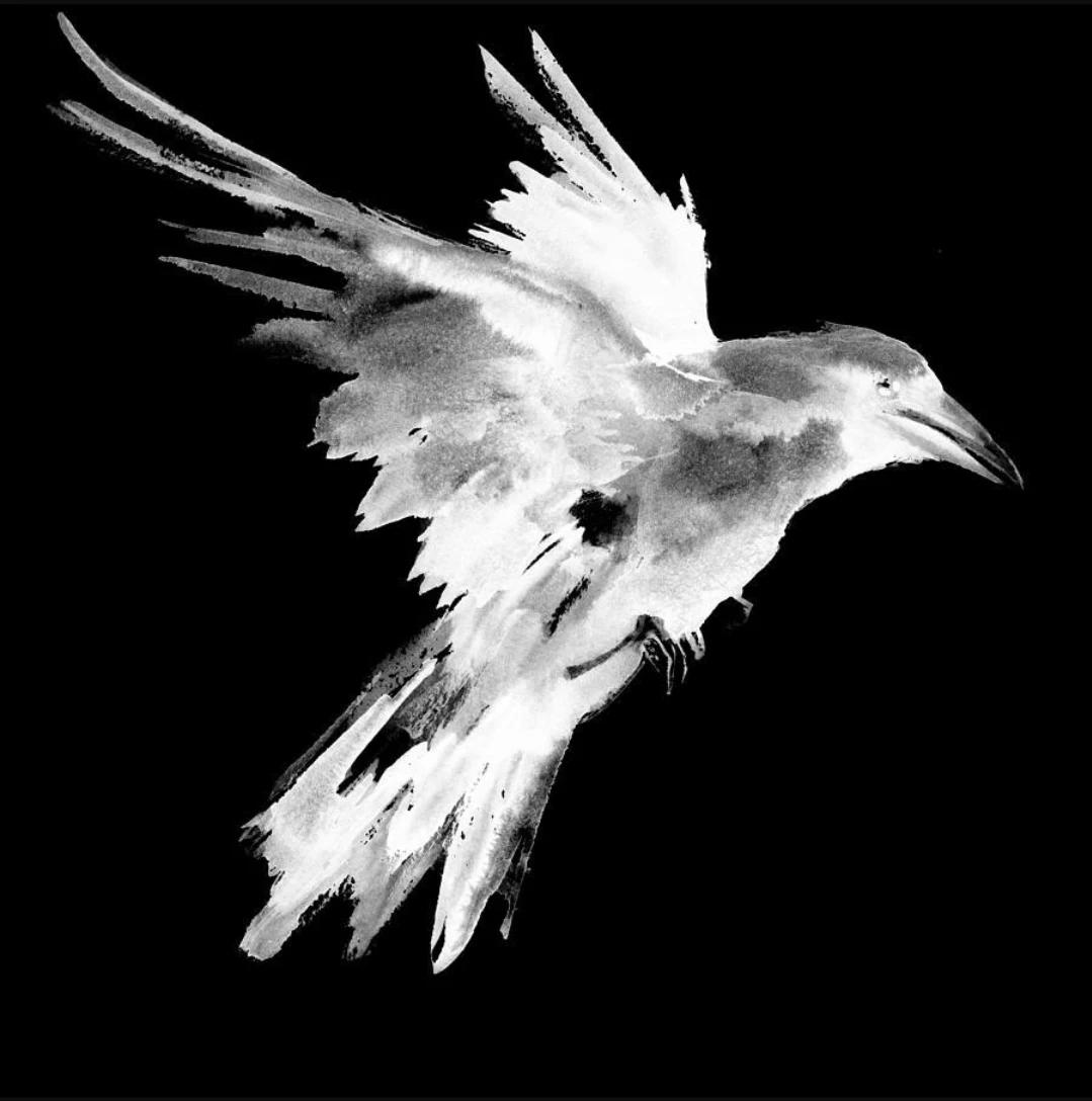 International Anti-Terrorist Organization "White Raven" thumbnail