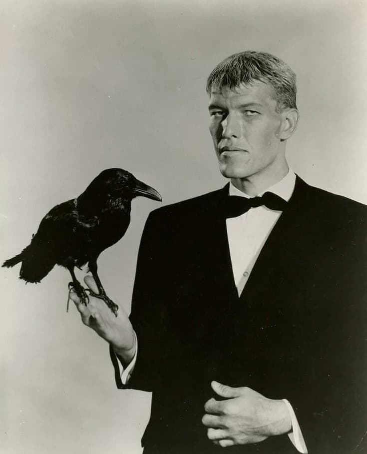Lurch  thumbnail
