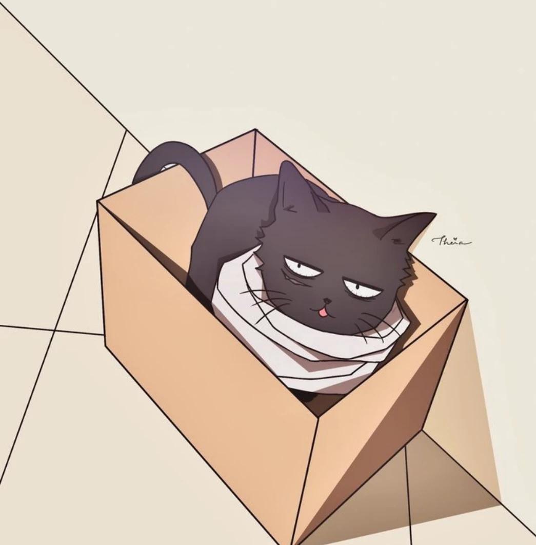 Shota Aizawa (gato) thumbnail