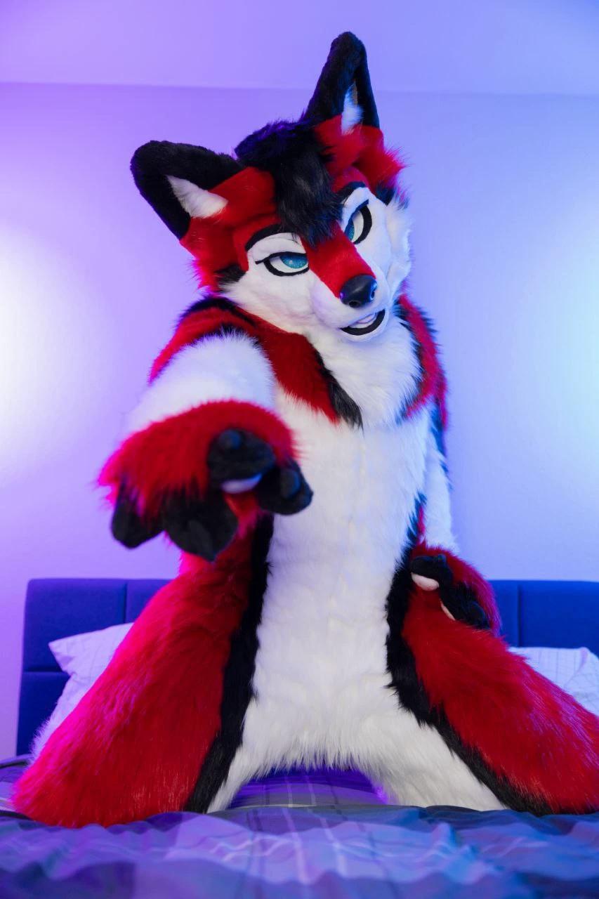 Your Furry friend thumbnail