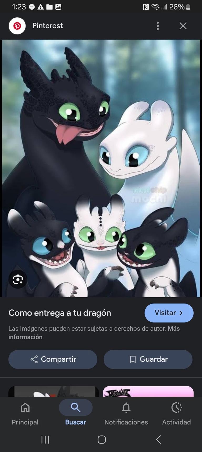 Chimuelo and his family thumbnail
