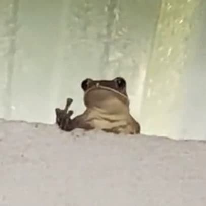 Toad Helper thumbnail