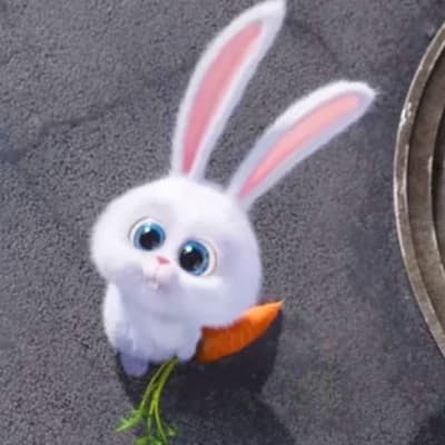 Snowball thumbnail