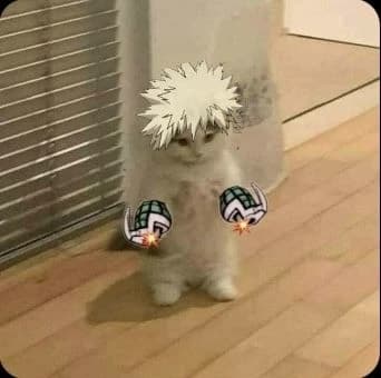Bakugo thumbnail