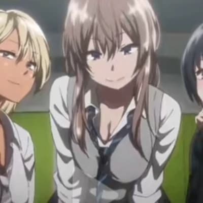 The H-Cup Family thumbnail