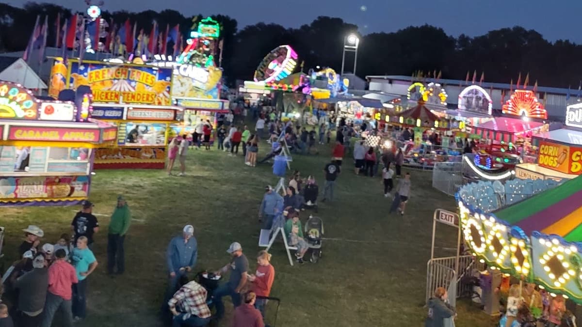 The county fair  thumbnail