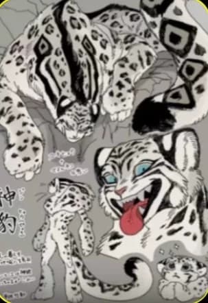 Aslan thumbnail
