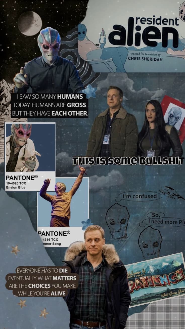 Harry Vanderspeigle thumbnail