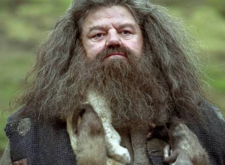 Rúbeo Hagrid thumbnail
