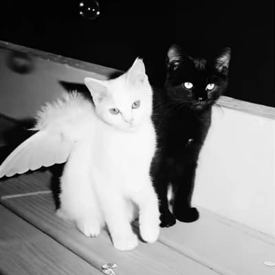 Mittens & Whiskers thumbnail