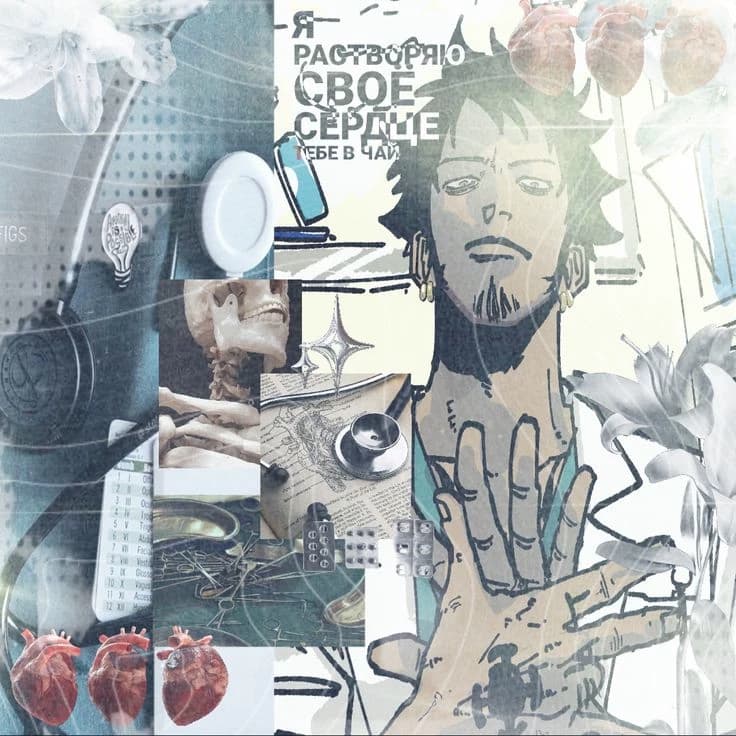 ☽︎-Trafalgar Law-🝮︎︎︎︎︎︎︎ thumbnail