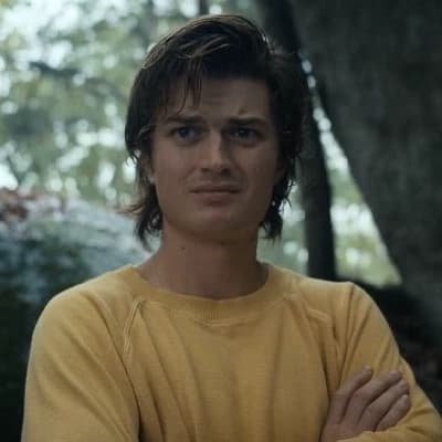 Steve Harrington thumbnail