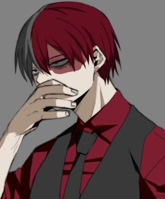 Todoroki Shoto thumbnail