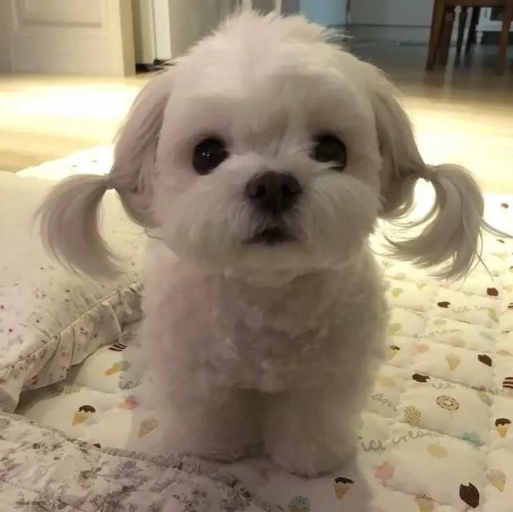 YUKI thumbnail