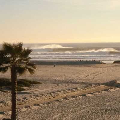 California v¹ thumbnail