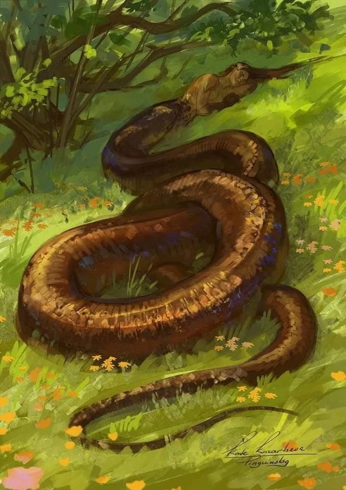 🐍\`\` Kydarian - BL thumbnail