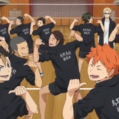 🦈 ˎˊ˗ karasuno °❀⋆.ೃ࿔\*:･ thumbnail