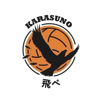 Te ignoraramˎˊ˗ karasuno °❀⋆.ೃ࿔\*:･ thumbnail
