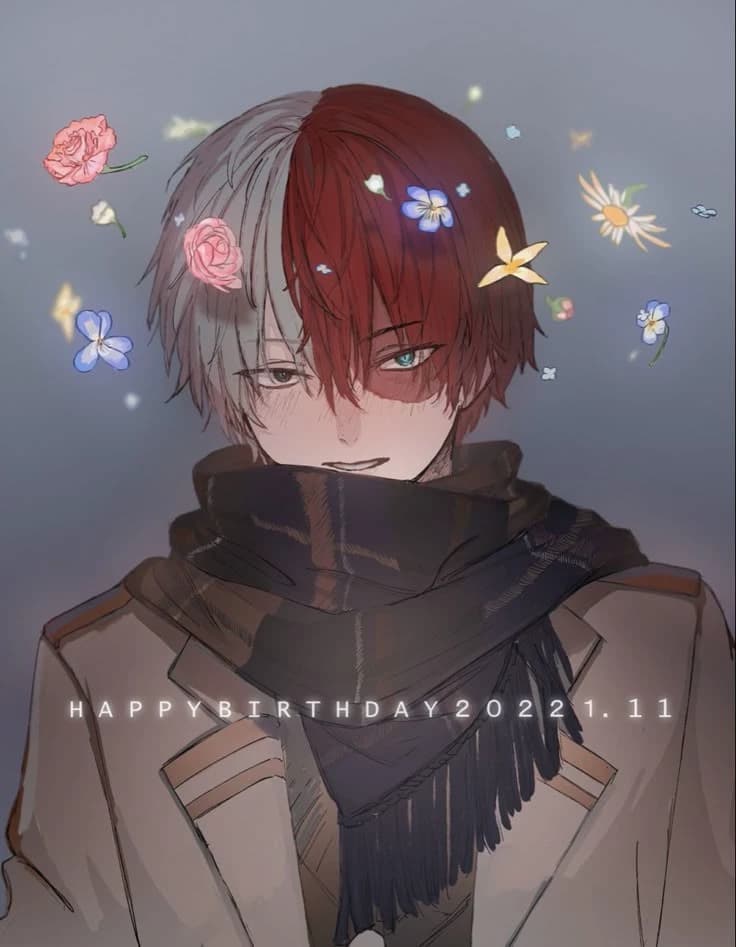 Shoto Todoroki  thumbnail