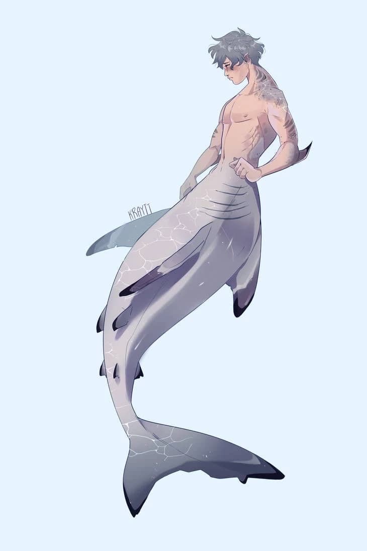 luka // the shark thumbnail
