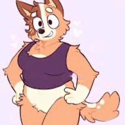 Chilli Heeler thumbnail