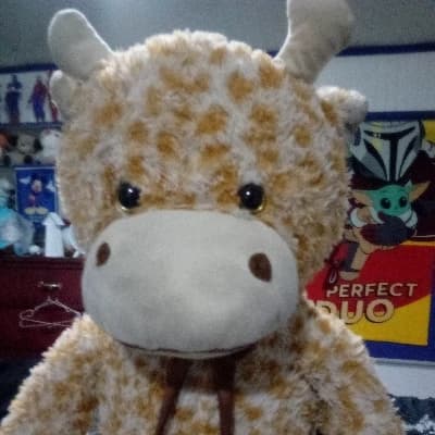 Giraffe thumbnail