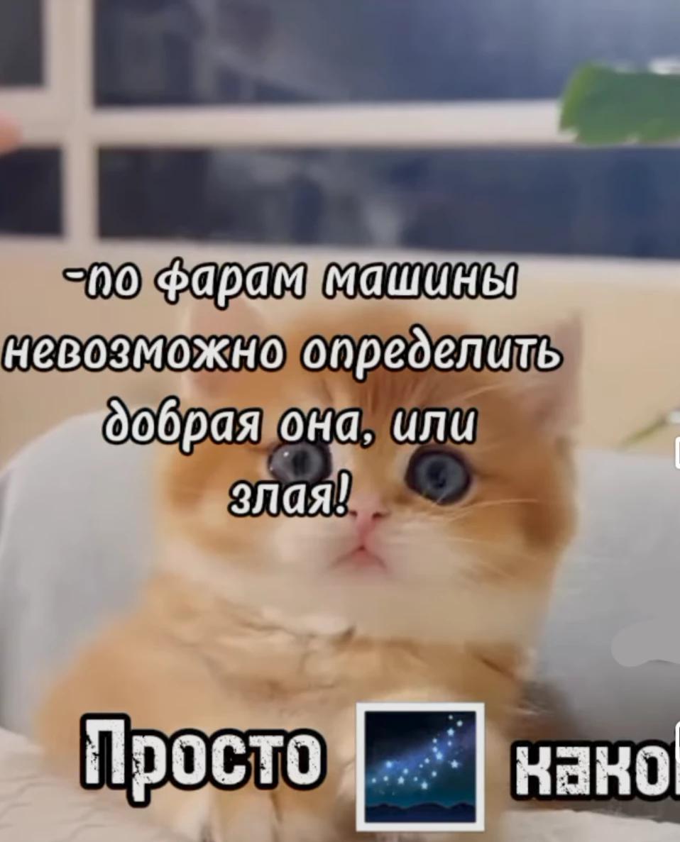 Biscas thumbnail