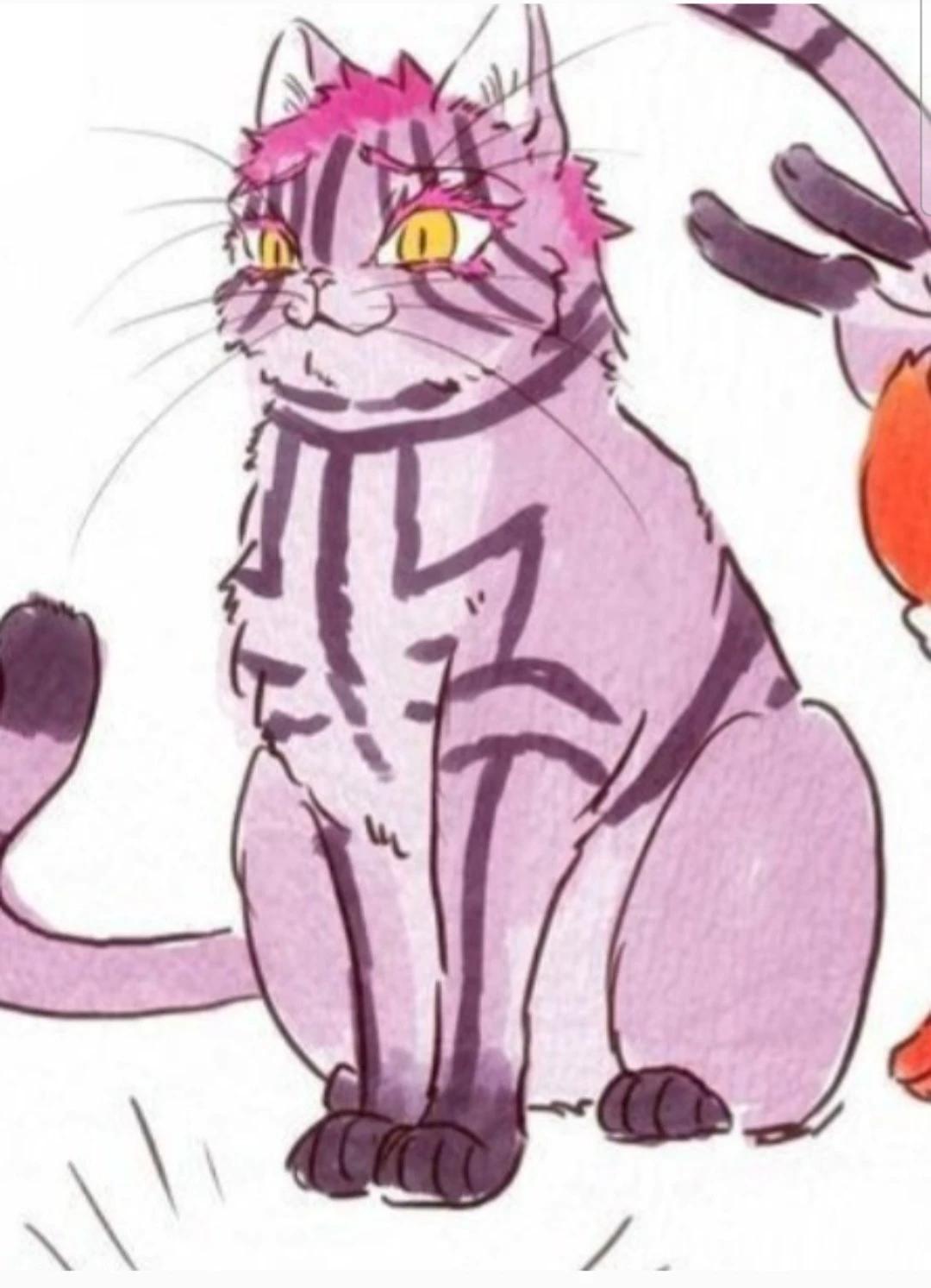 Akaza Gato thumbnail