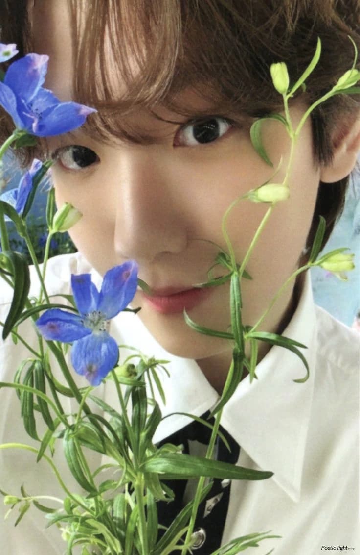 byun baekhyun ˖ ֹ੭୧ thumbnail