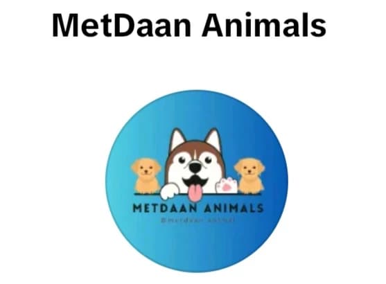 Metdaan animals dog shelter thumbnail