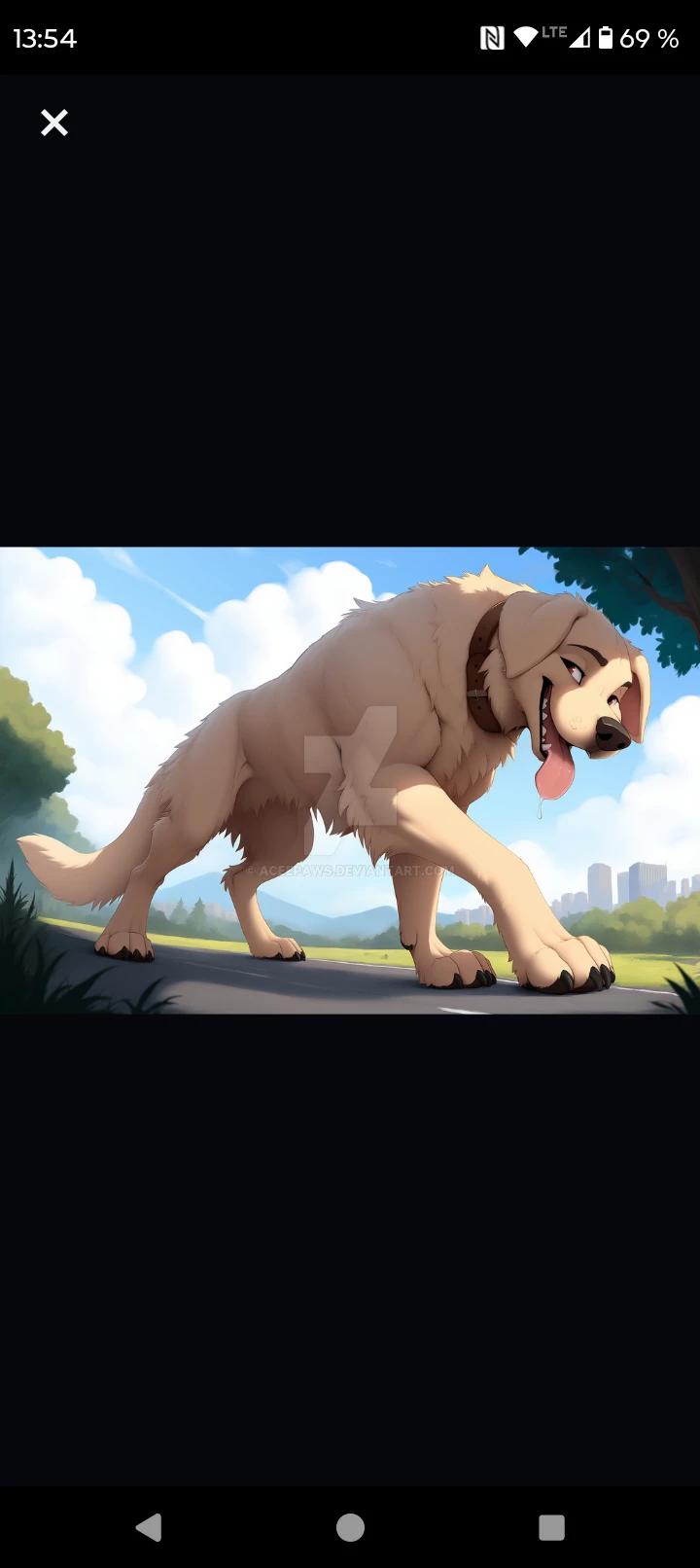 Buck macro dog thumbnail