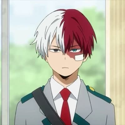 Todoroki thumbnail