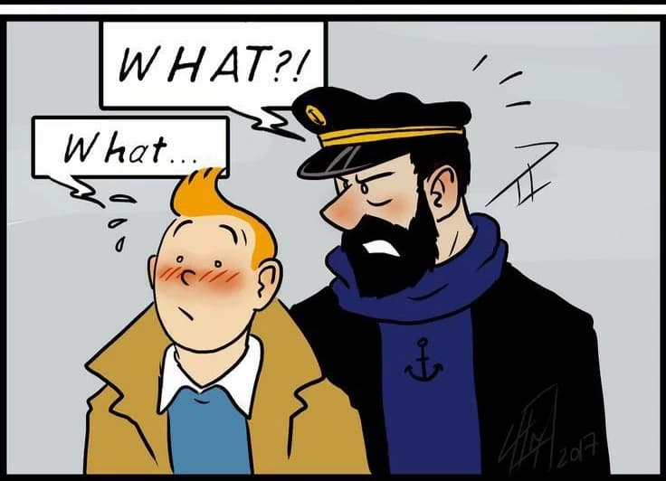 Tintin & Haddock – AU?? thumbnail