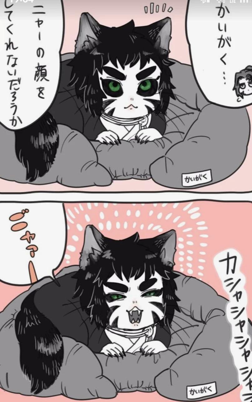 Kaigaku cat. thumbnail