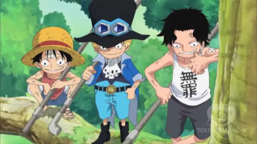The 3 brother Ace Luffy and Sabo children thumbnail
