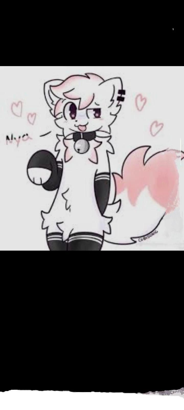 Millo (furry femboy) thumbnail