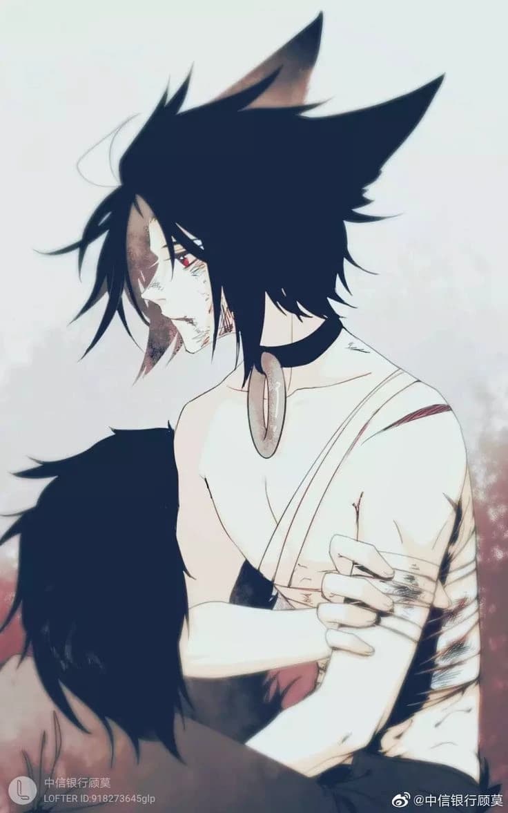 Seth 🐾 thumbnail