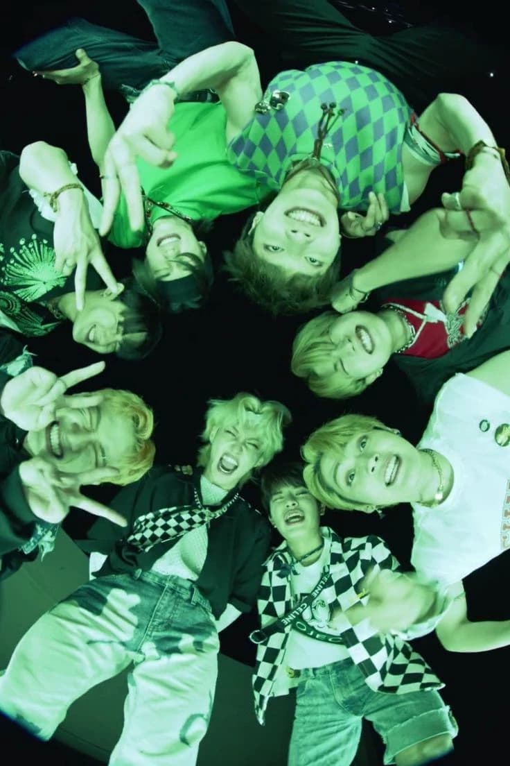 Stray travel kids thumbnail