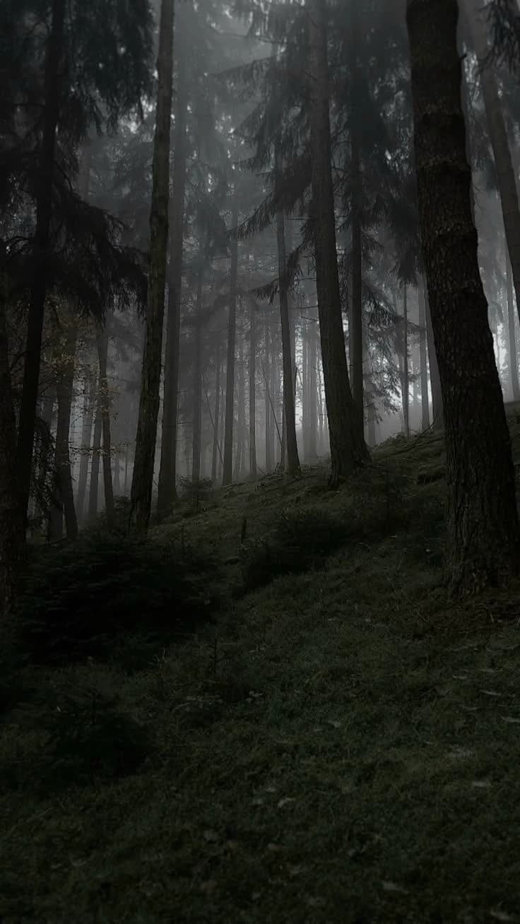 The Forest thumbnail