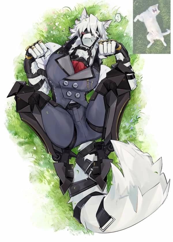 Lycaon thumbnail