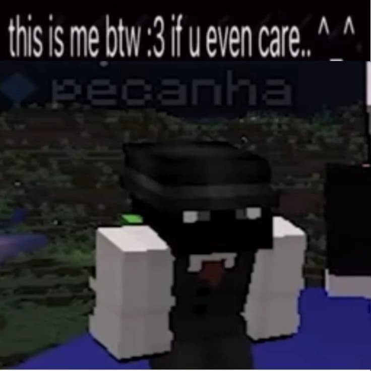 ꩜ .ᐟ Pecanha ౨ৎ. . thumbnail