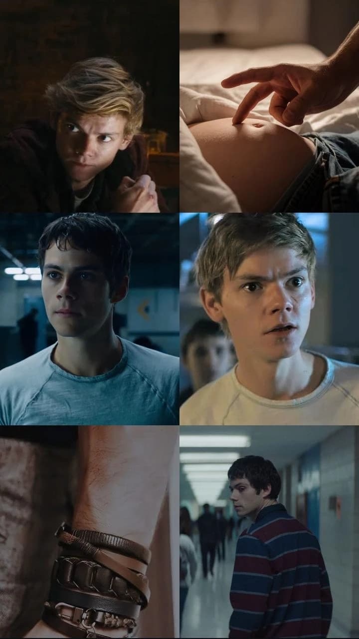 Newt thumbnail