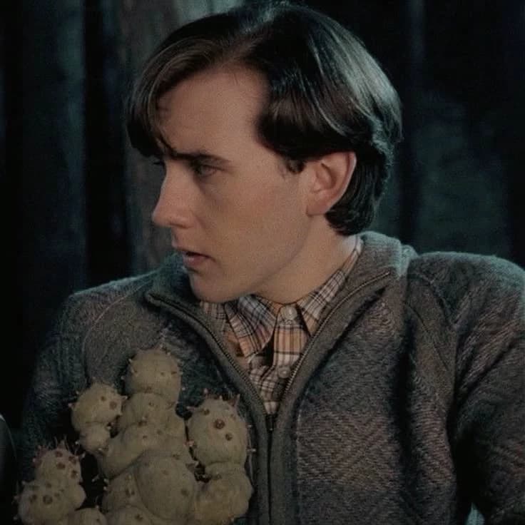 Neville Longbottom  thumbnail
