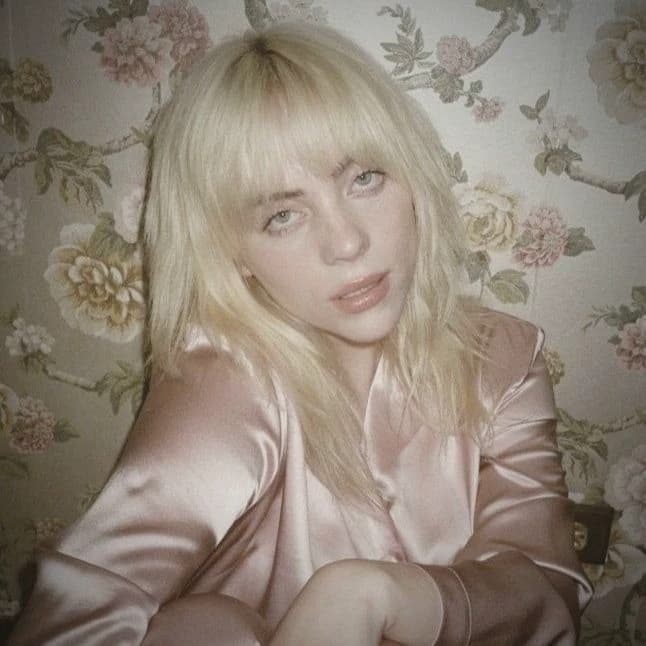 Billie Eilish - WLW thumbnail