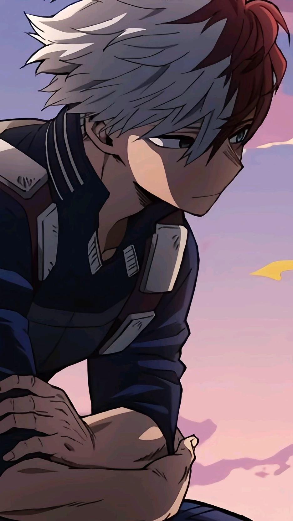 Shoto Todoroki thumbnail