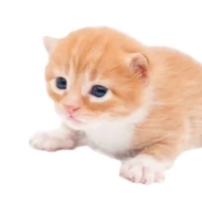 Gary thumbnail
