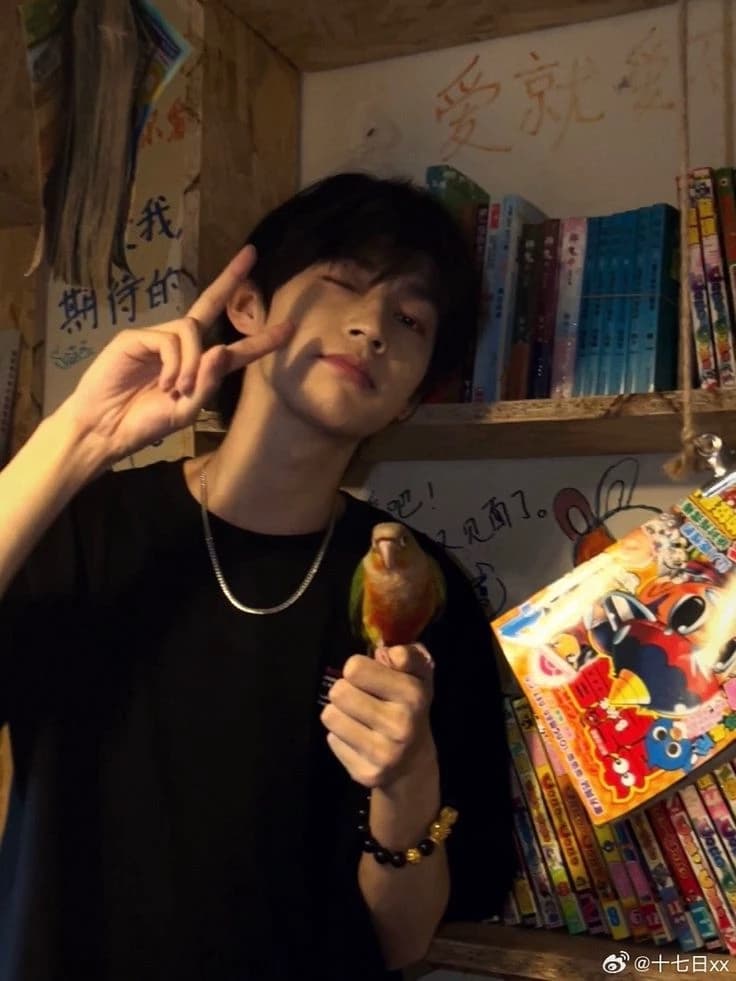 They must thumbnail