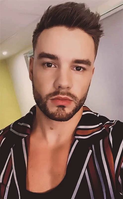 Liam James Payne thumbnail