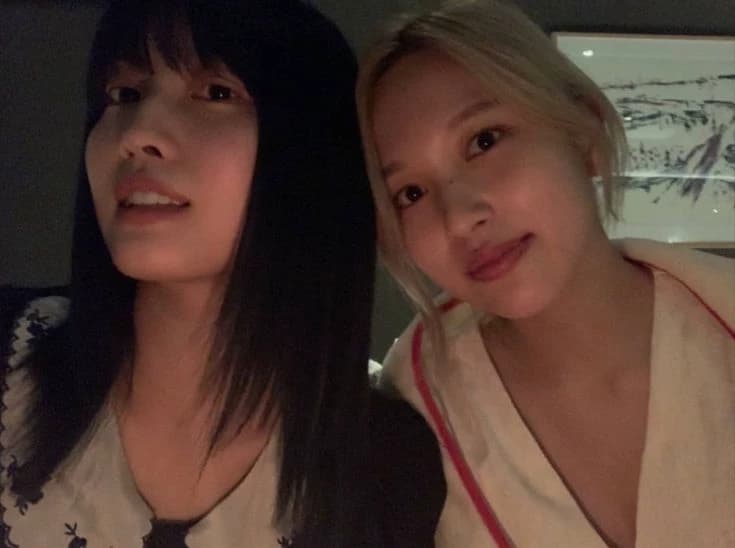 ﹒ 𓂃 ࣪ ˖ mina & momo ˖ ࣪ 𓂃 ﹒ Futa thumbnail