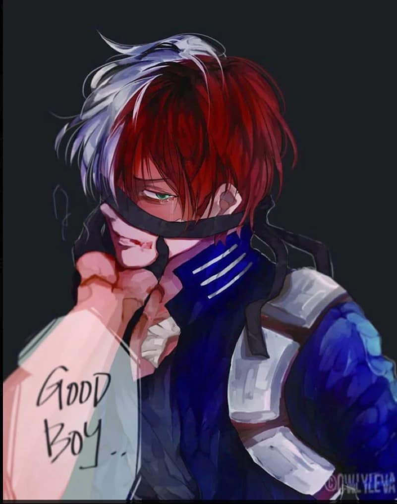 shoto todoroki thumbnail